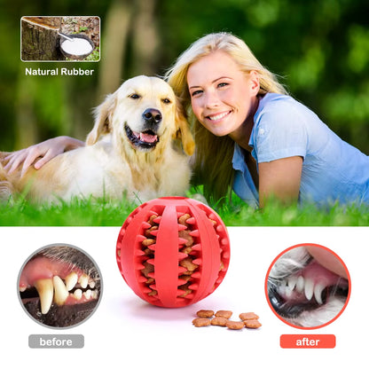 Pet Dog Toy Interactive Rubber Balls for Small Large Dogs Puppy Cat Chewing Toys Pet Tooth Cleaning Indestructible Dog Food Ball